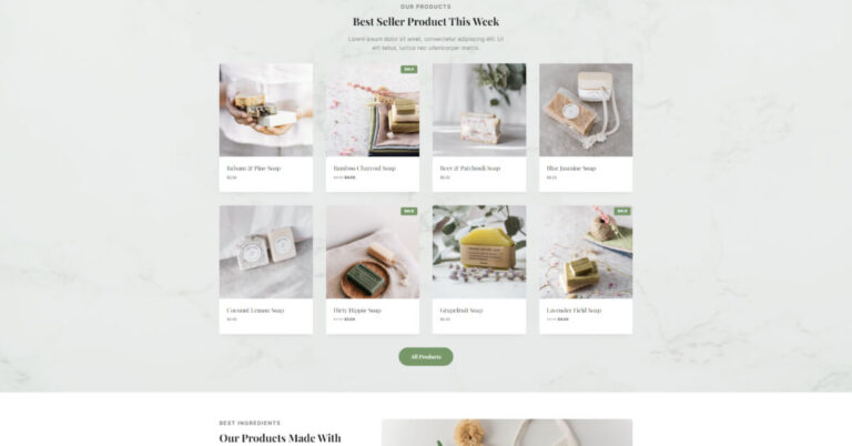 website project soap shop